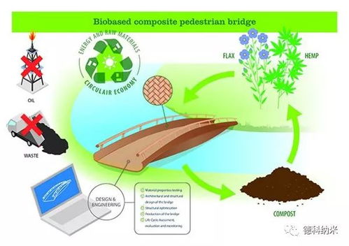 生物基復合材料大規模生產關鍵技術突破 生物基材料的技術演進與應用展望