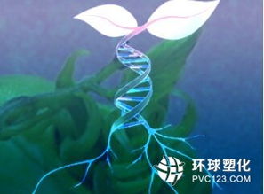 生物基材料技術在工程樹脂原料開發中的前沿路徑