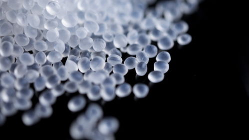 生物基新材料崛起 rwdc industries獲9510萬美元B輪融資，加速PHA產能擴張