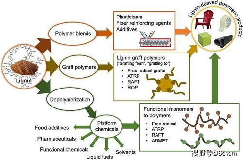 生物基高分子材料 化學合成與材料加工的融合與發展——Polymer Science領域綜述